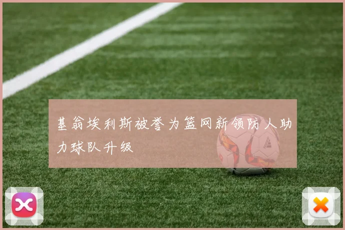 基翁埃利斯被誉为篮网新领防人助力球队升级